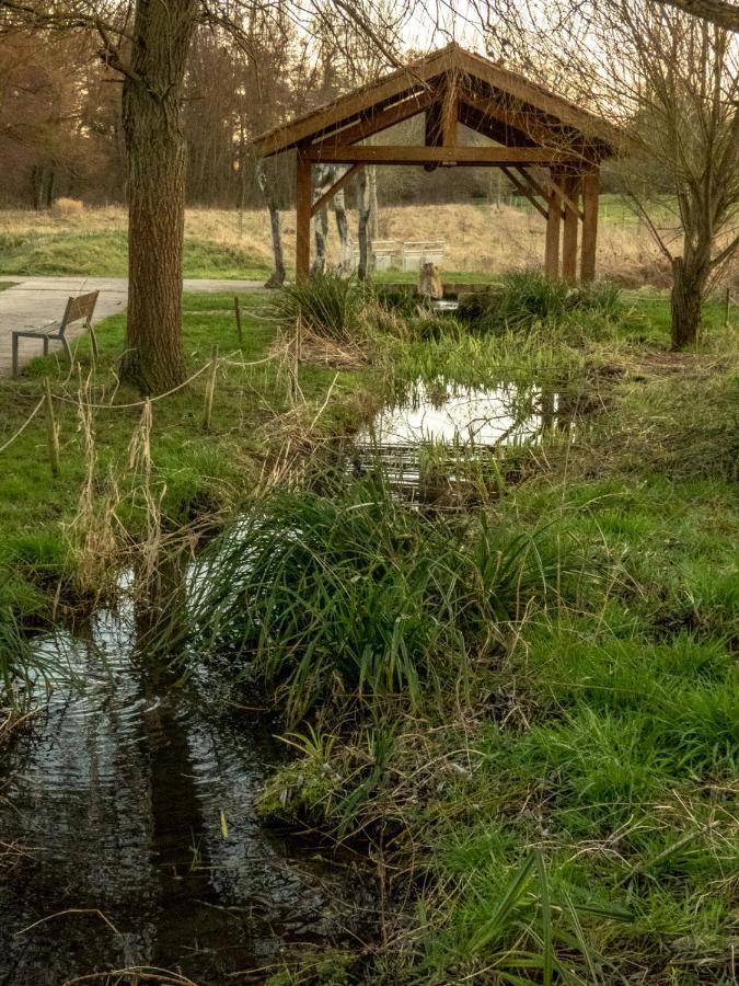 Le Domaine Des Droles De Dames Konuk evi Buding Dış mekan fotoğraf